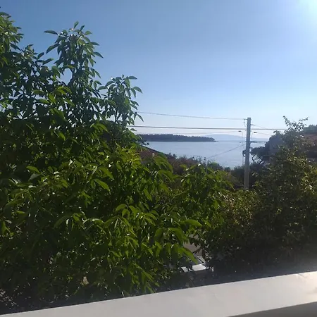 Silvia Guest house